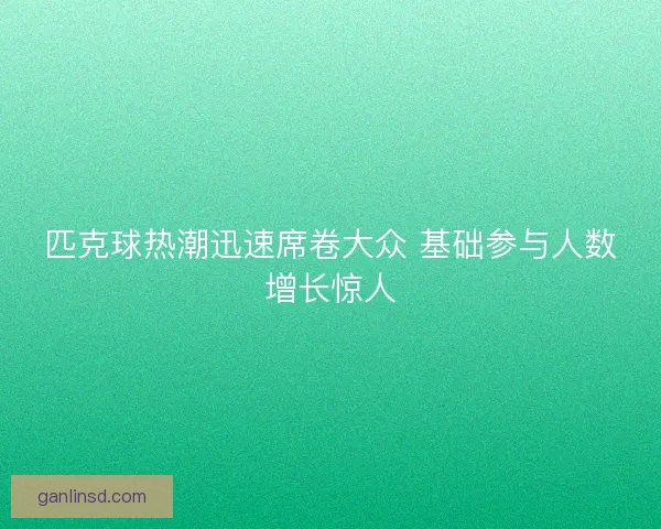 匹克球热潮迅速席卷大众 基础参与人数增长惊人