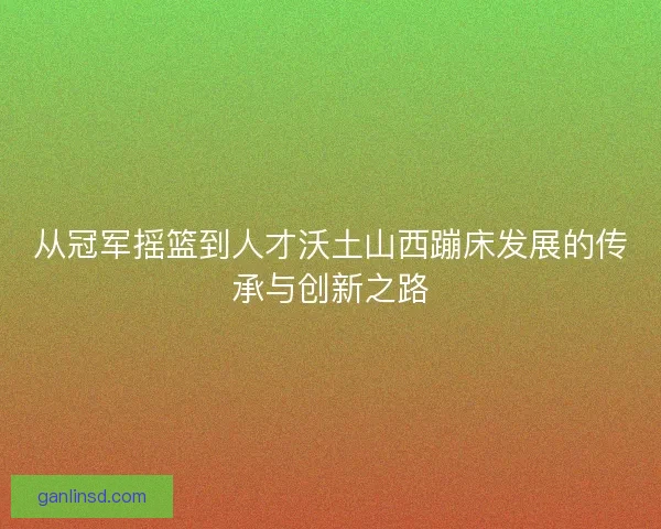 从冠军摇篮到人才沃土山西蹦床发展的传承与创新之路