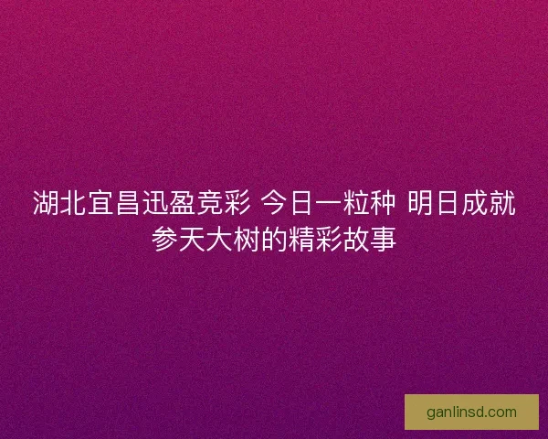 湖北宜昌迅盈竞彩 今日一粒种 明日成就参天大树的精彩故事